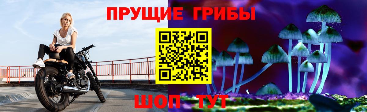 Галлюциногенные грибы Psilocybe  что такое   Псилоцибиновые грибы Psilocybe  Юрга  Вход с VPN 